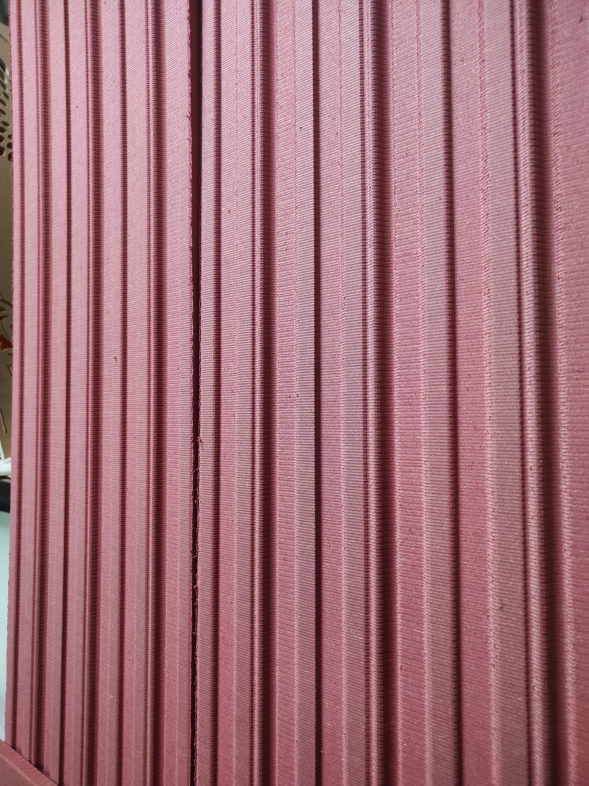 Pallavi Sandip Raut Nameplate